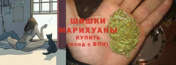 скорость Бородино