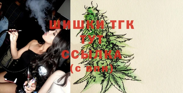 гашик Бронницы