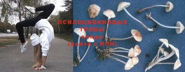 гашик Бронницы