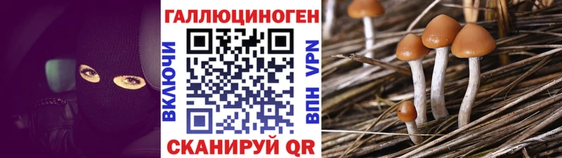 Галлюциногенные грибы Magic Shrooms  Купить  Светогорск 